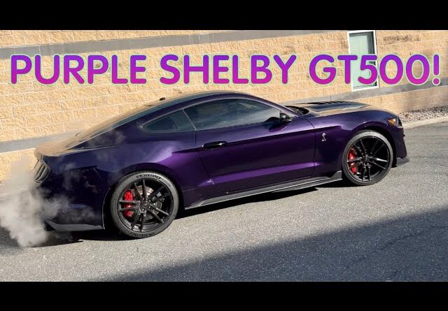 Ford Mustang 'Purple Pie